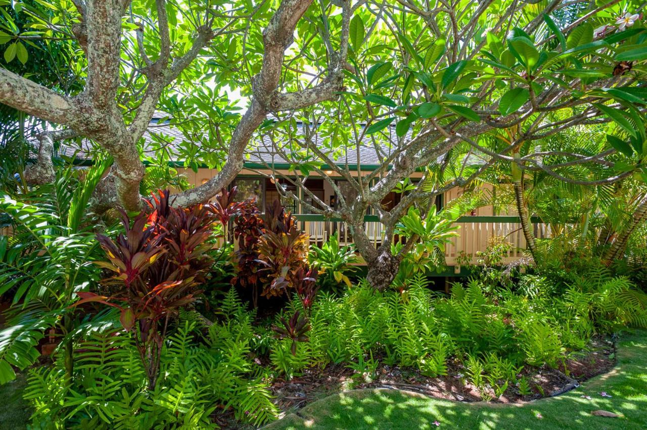 Poipu Plantation Vacation Rentals 科洛阿 外观 照片