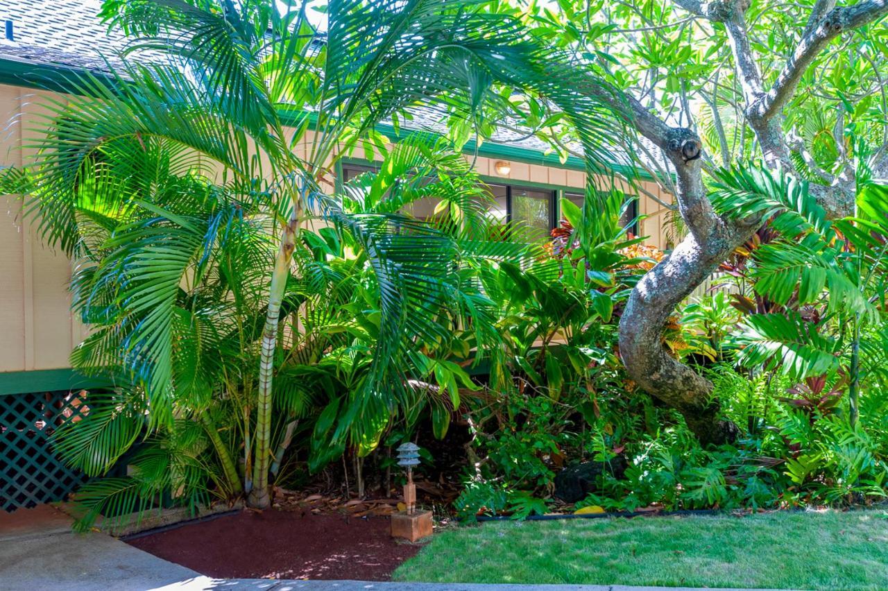 Poipu Plantation Vacation Rentals 科洛阿 外观 照片